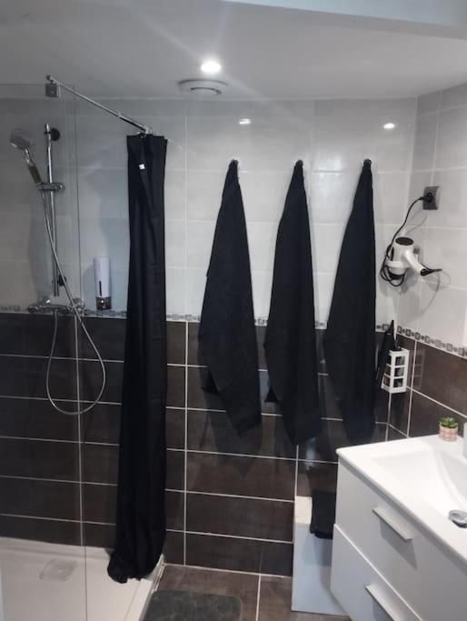 פואה Appartement Coeur De Ville! מראה חיצוני תמונה